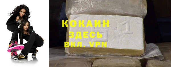 эйфоретик Арсеньев
