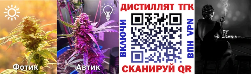 закладка  Талица  ТГК концентрат 