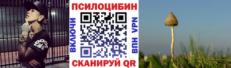 ссылка на мегу зеркало  площадка телеграм  Псилоцибиновые грибы прущие грибы  Талица 